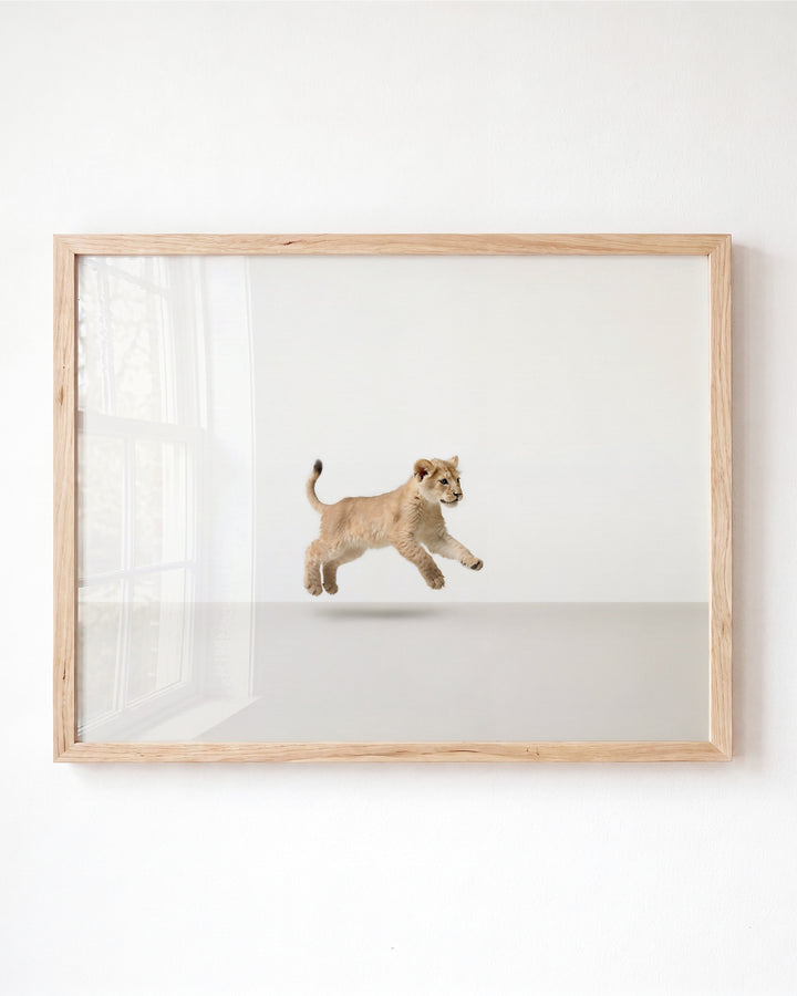 Studio Lion Art Print