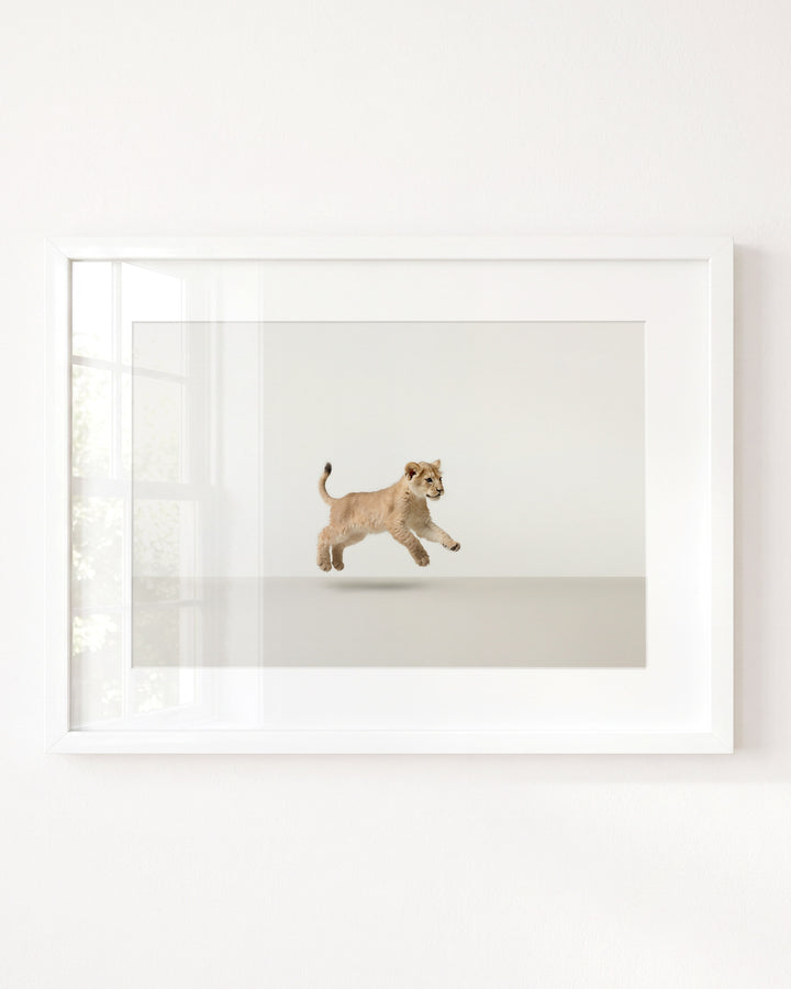 Studio Lion Art Print