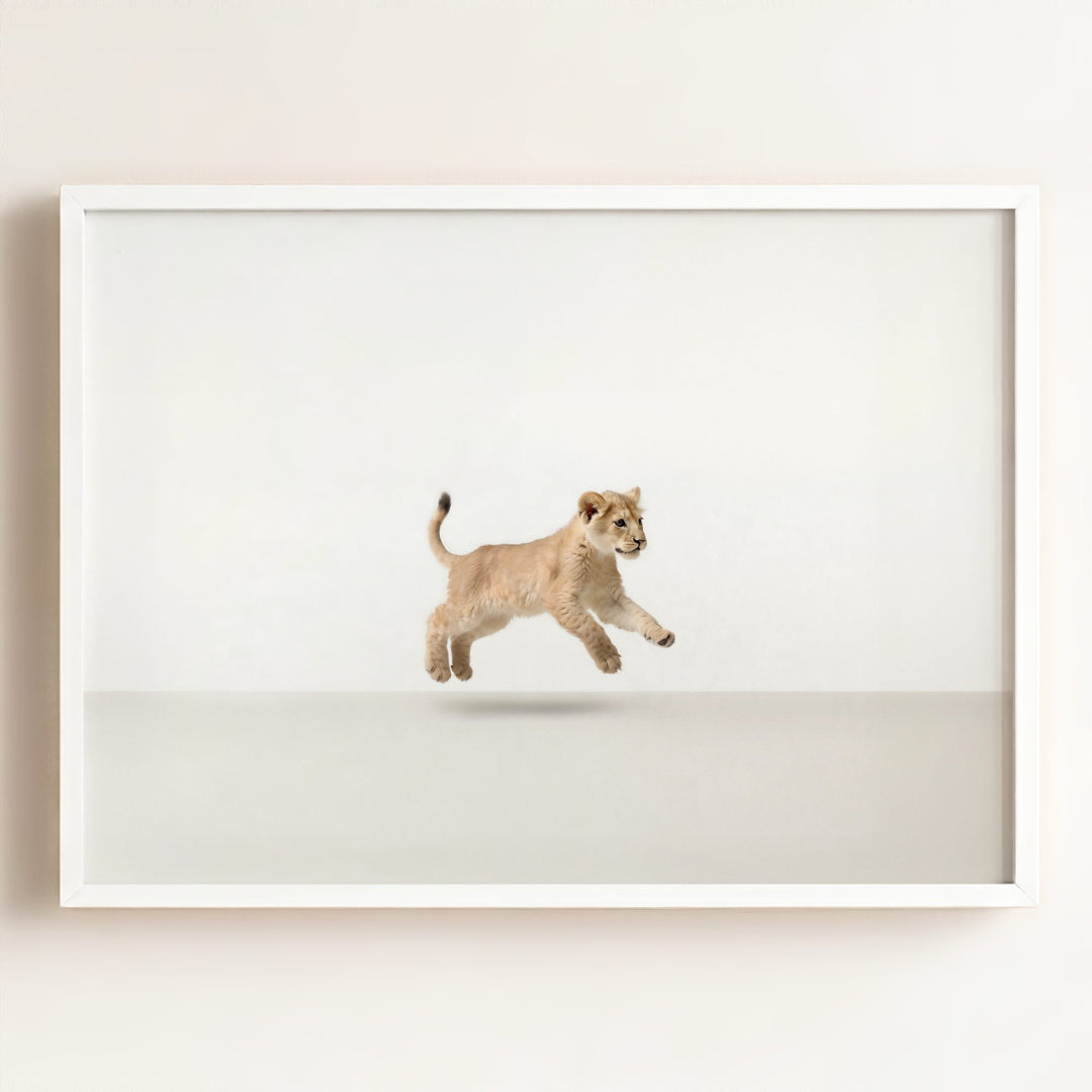 Studio Lion Art Print