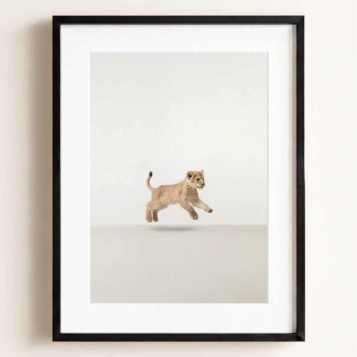 Studio Lion Art Print