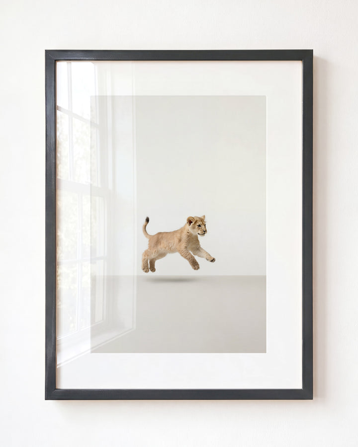 Studio Lion Art Print