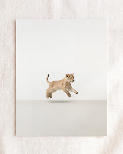 Studio Lion Art Print
