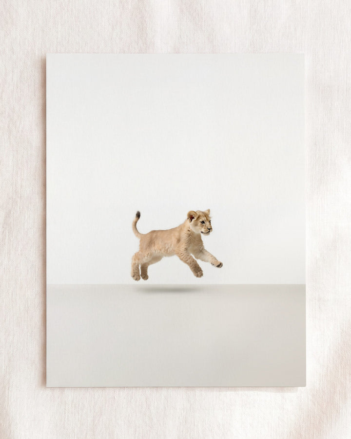 Studio Lion Art Print