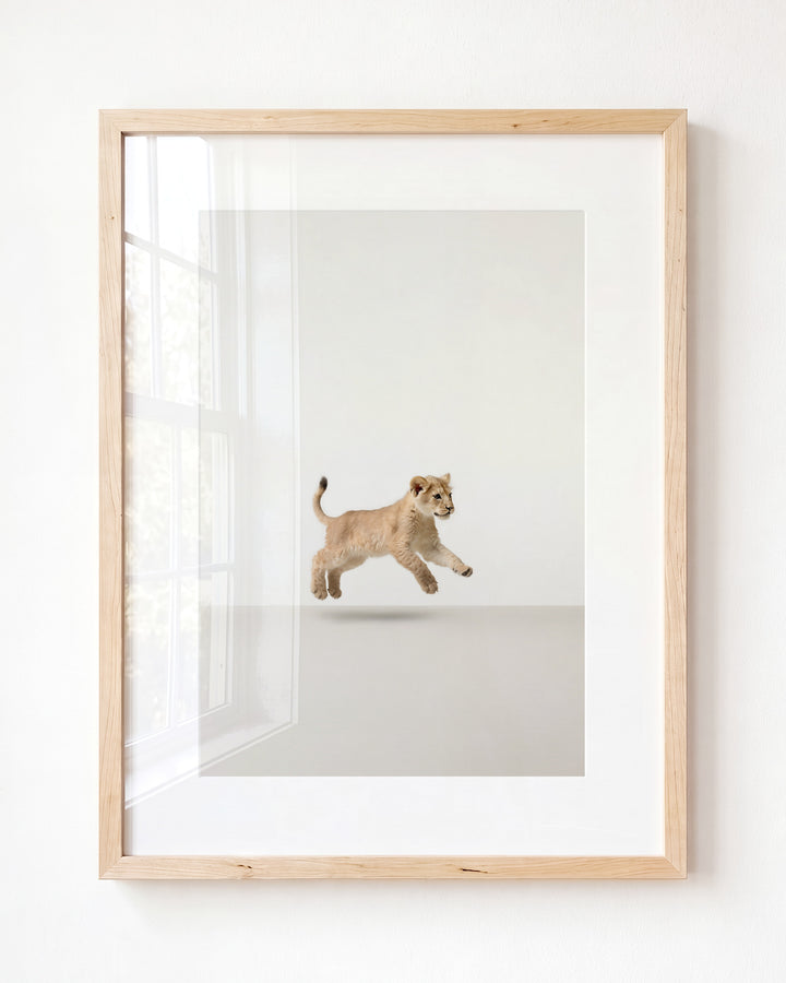 Studio Lion Art Print