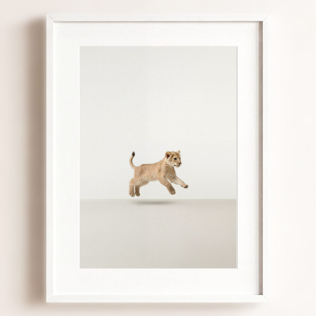 Studio Lion Art Print