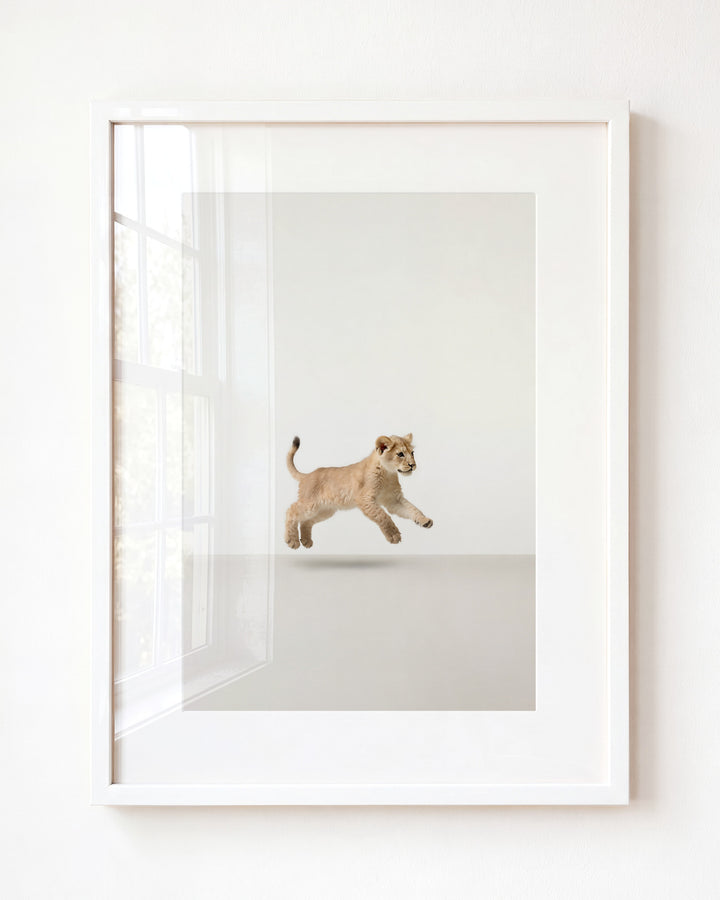 Studio Lion Art Print
