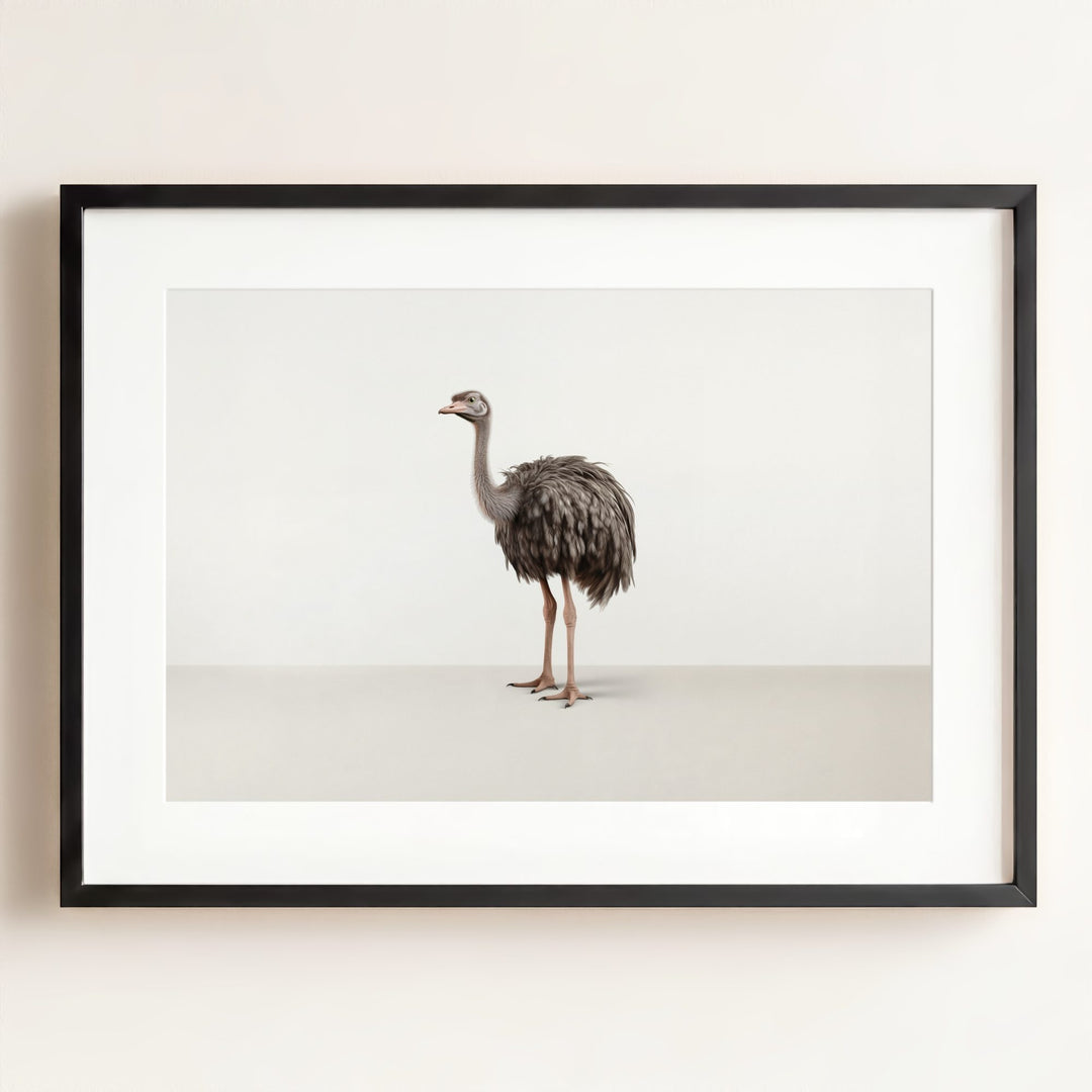 Studio Ostrich Art Print