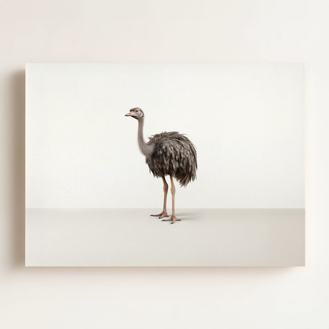 Studio Ostrich Art Print