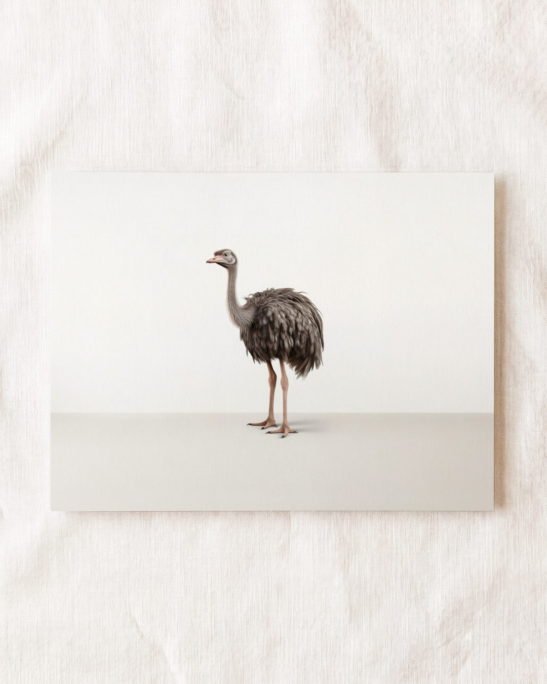 Studio Ostrich Art Print