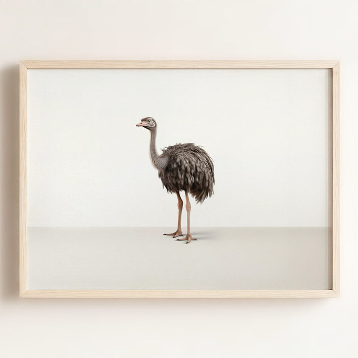 Studio Ostrich Art Print