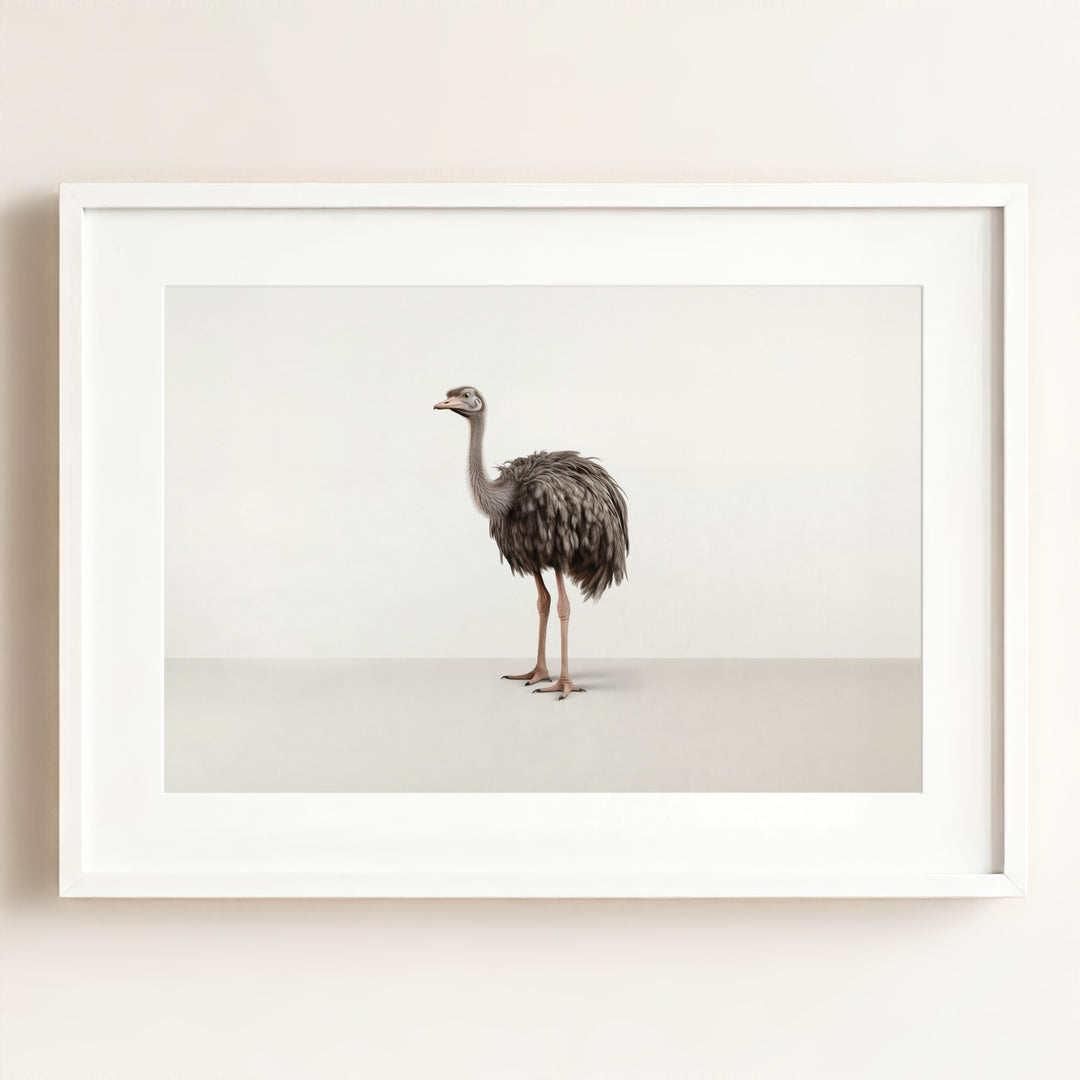 Studio Ostrich Art Print