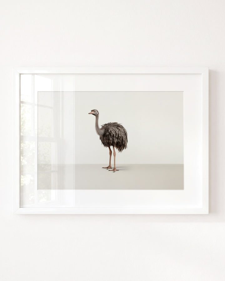Studio Ostrich Art Print