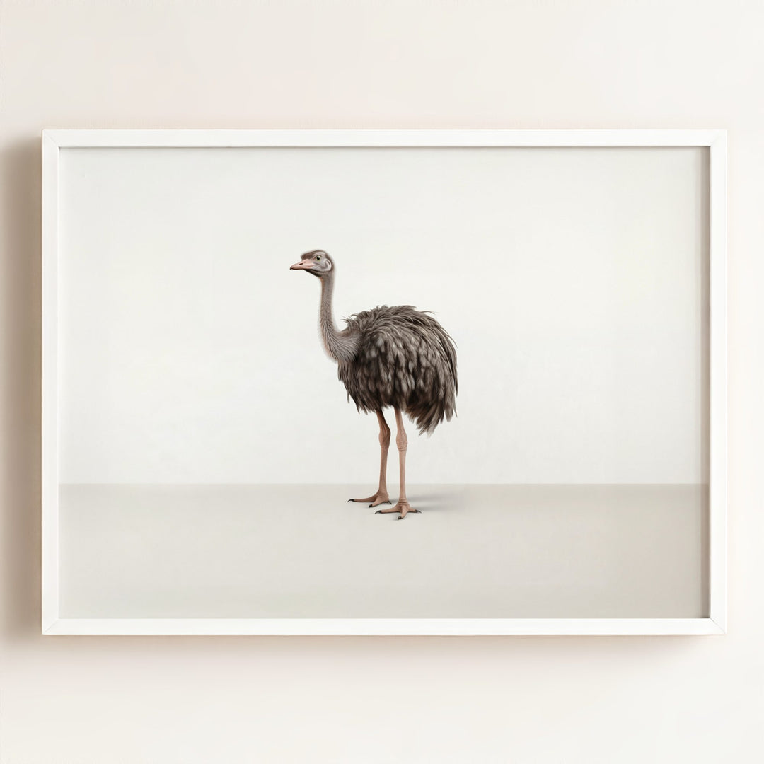 Studio Ostrich Art Print