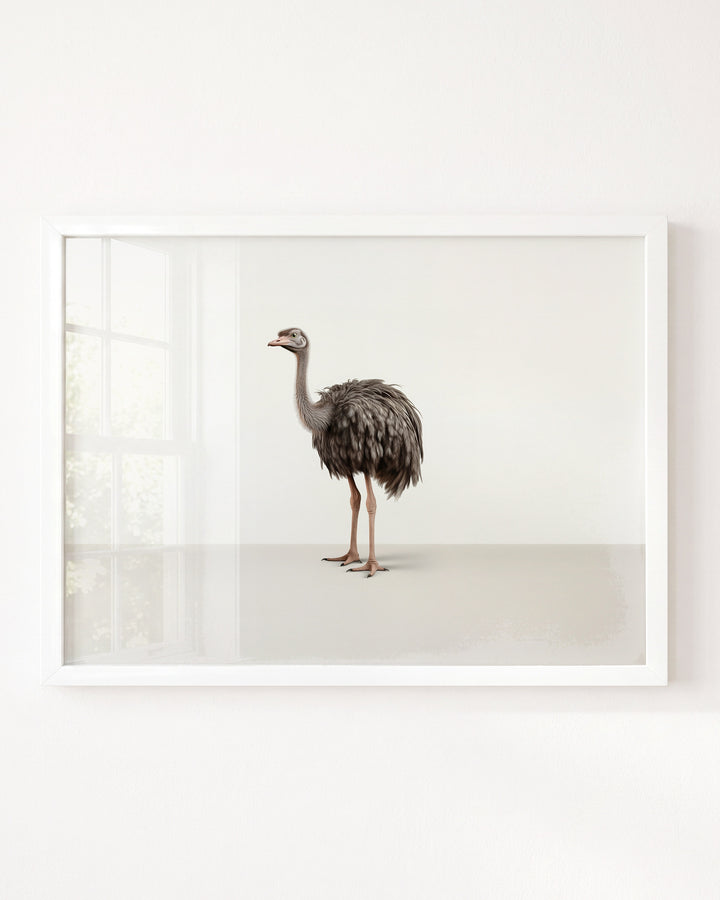 Studio Ostrich Art Print