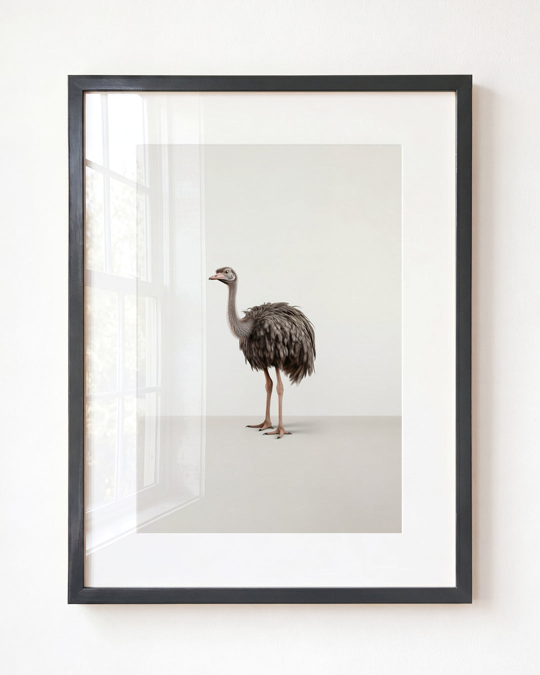 Studio Ostrich Art Print