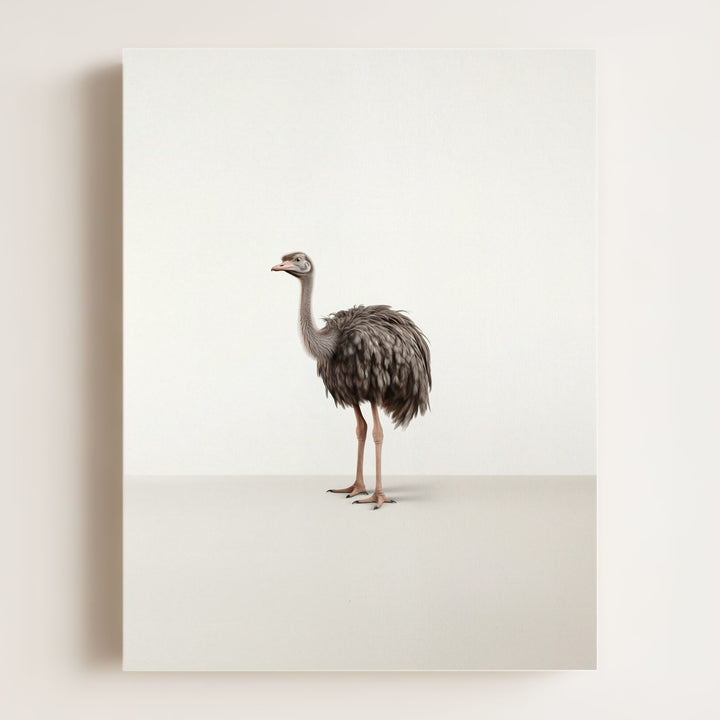 Studio Ostrich Art Print