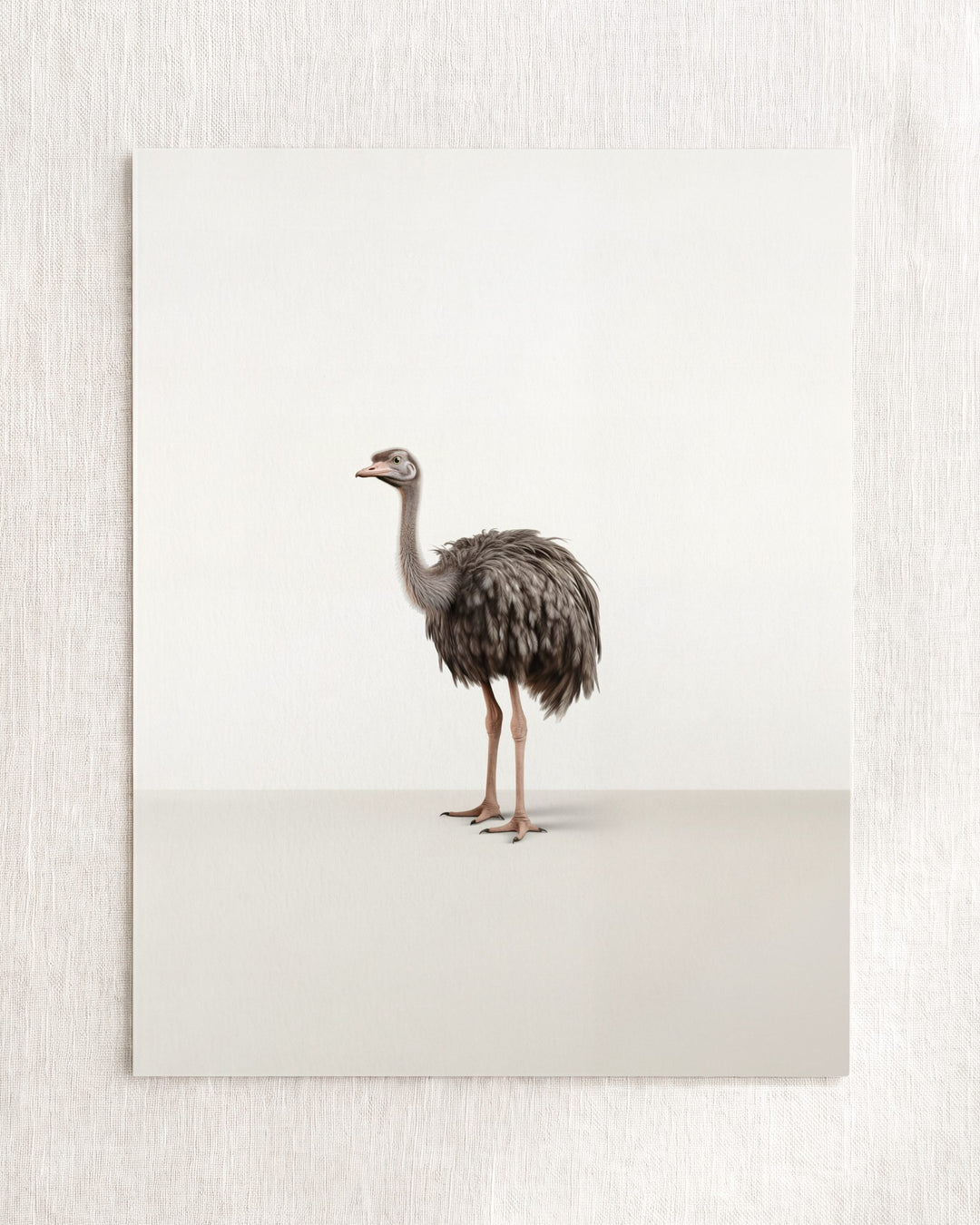 Studio Ostrich Art Print