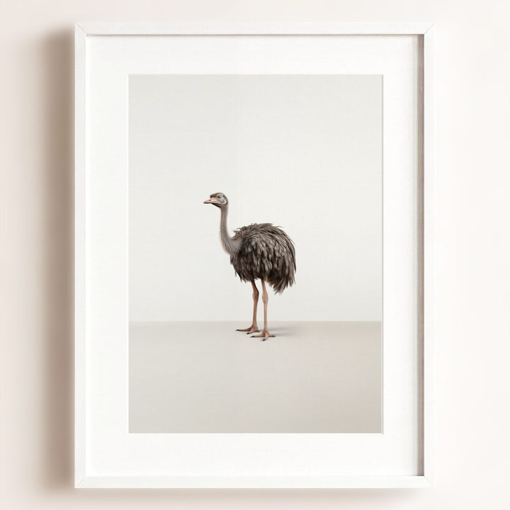 Studio Ostrich Art Print