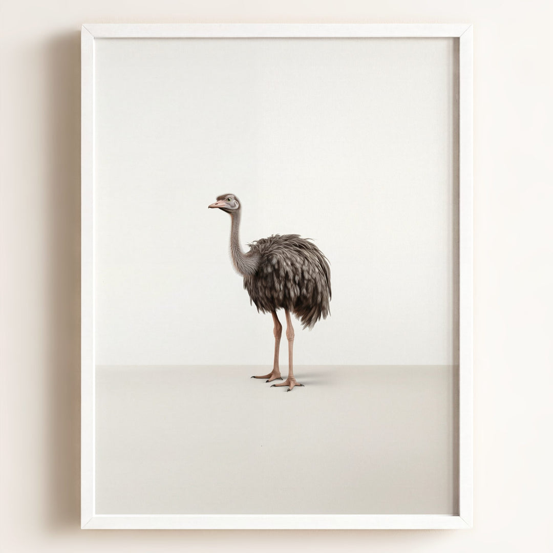 Studio Ostrich Art Print