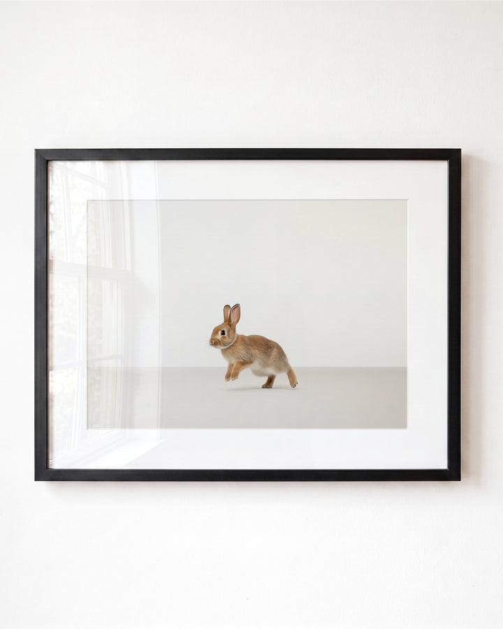 Studio Rabbit Art Print