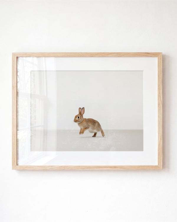 Studio Rabbit Art Print