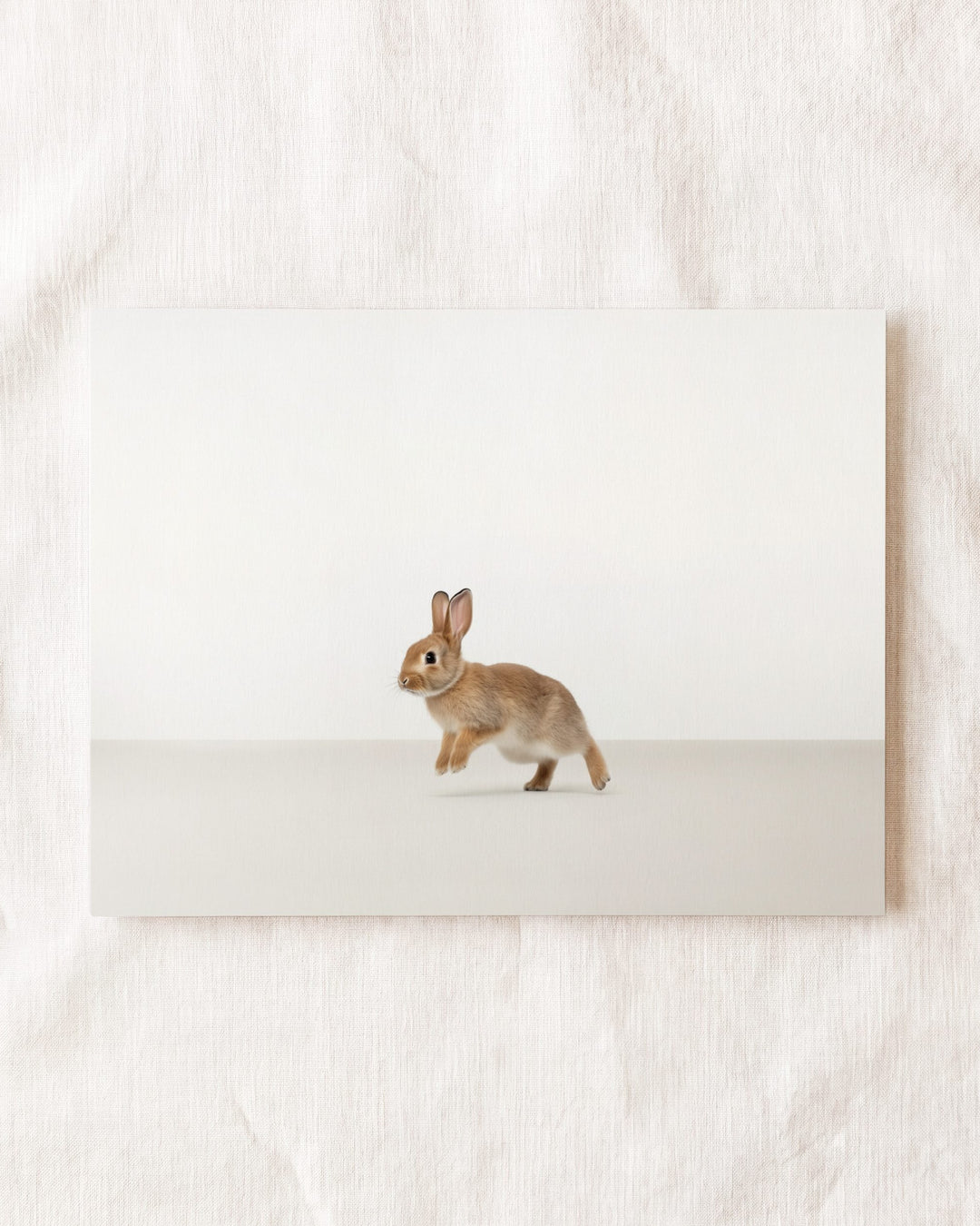 Studio Rabbit Art Print