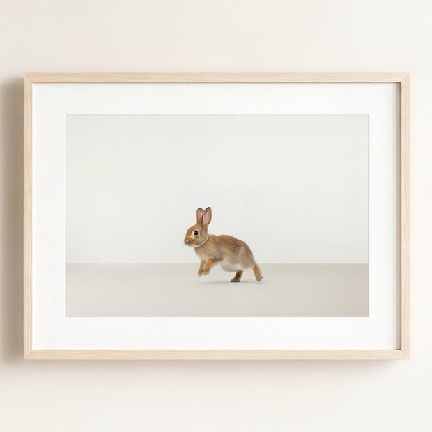 Studio Rabbit Art Print
