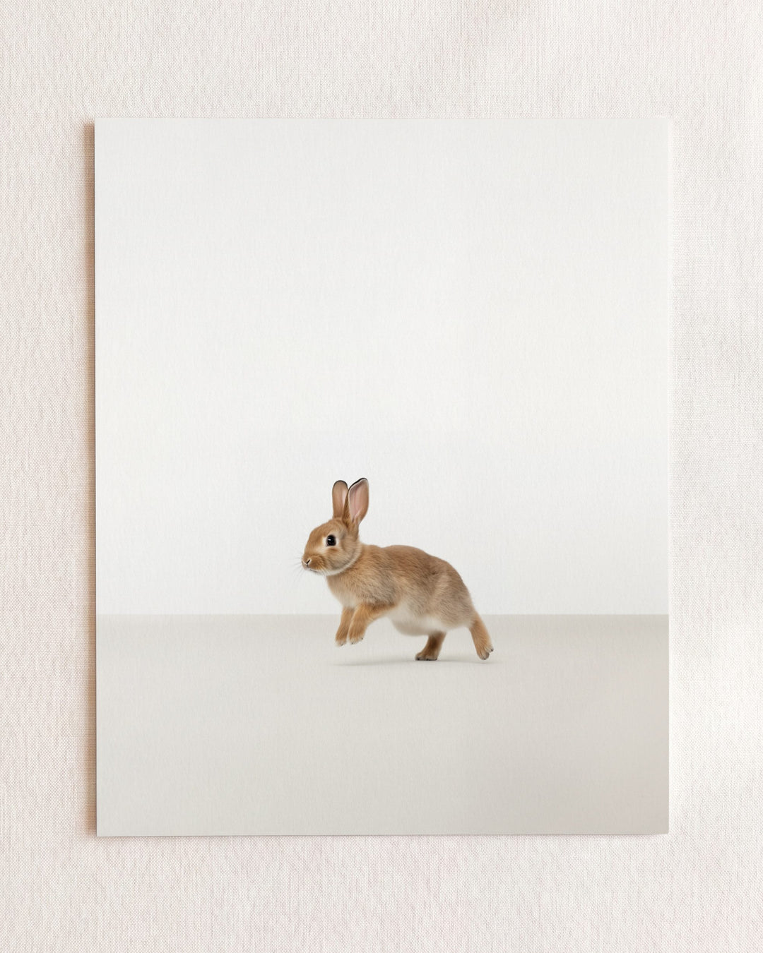 Studio Rabbit Art Print