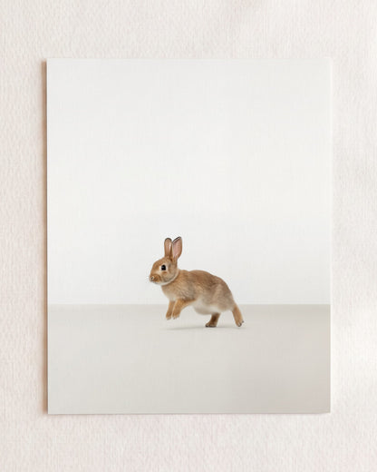 Studio Rabbit Art Print