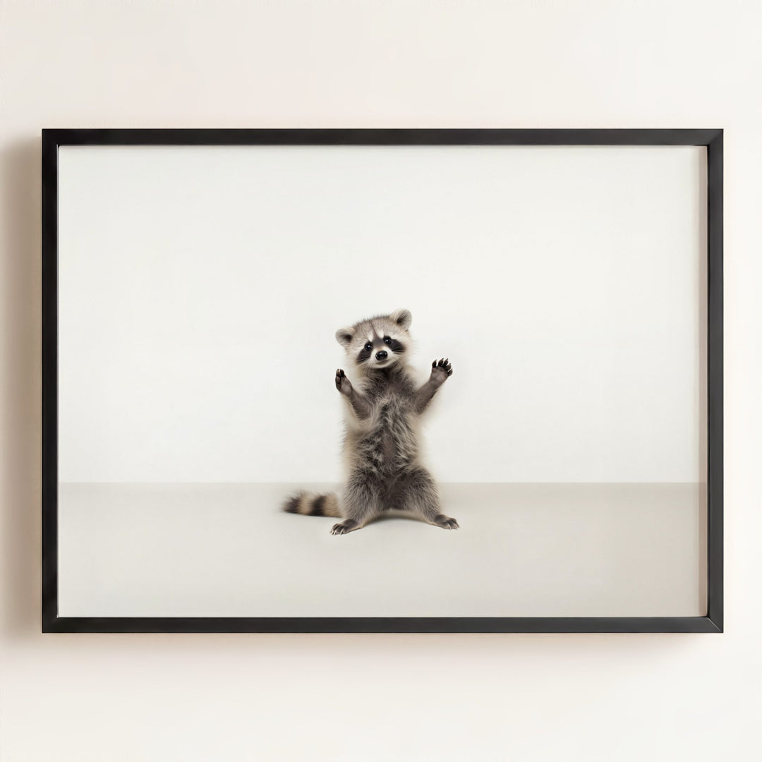 Studio Raccoon Art Print