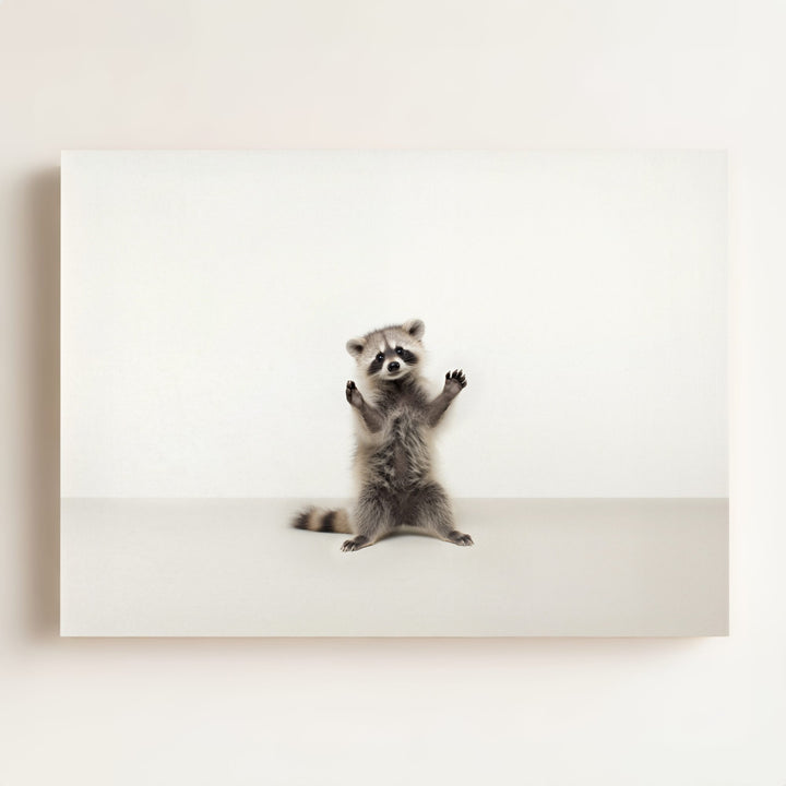 Studio Raccoon Art Print