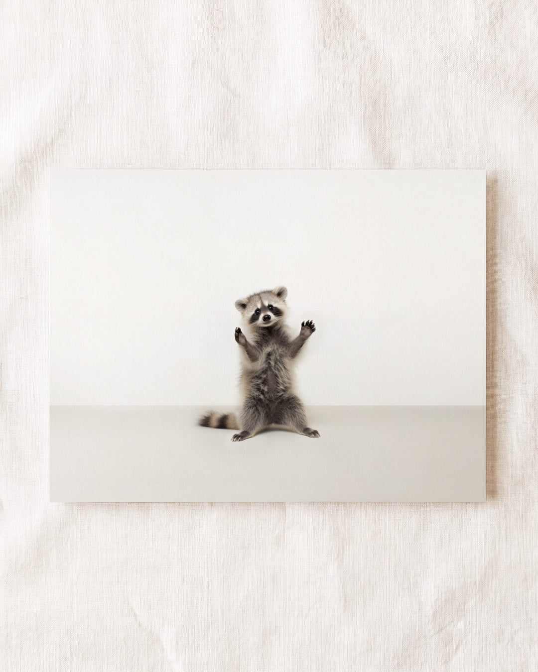 Studio Raccoon Art Print