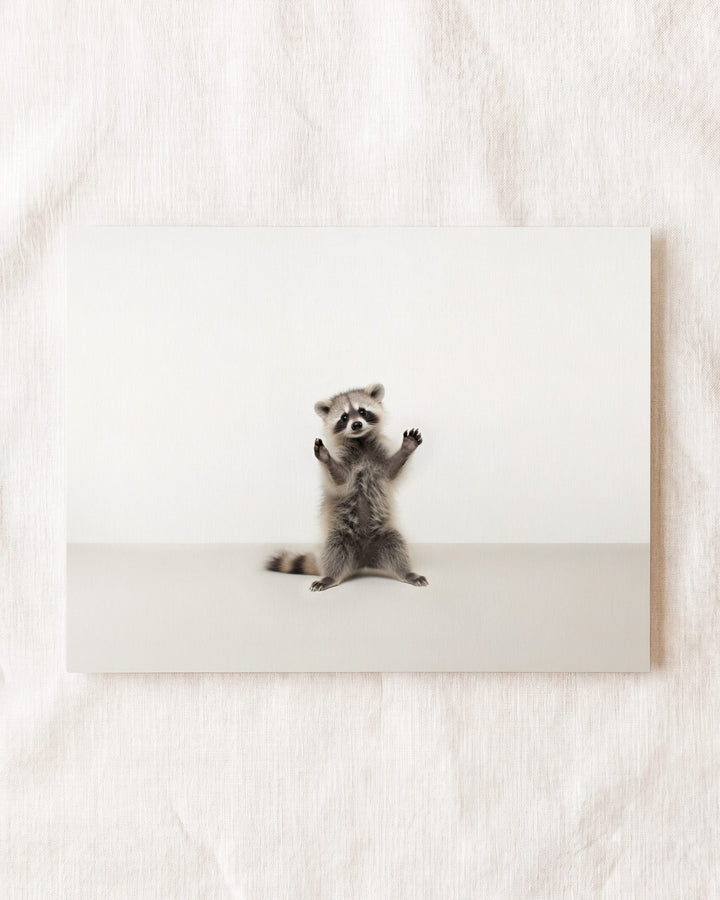 Studio Raccoon Art Print