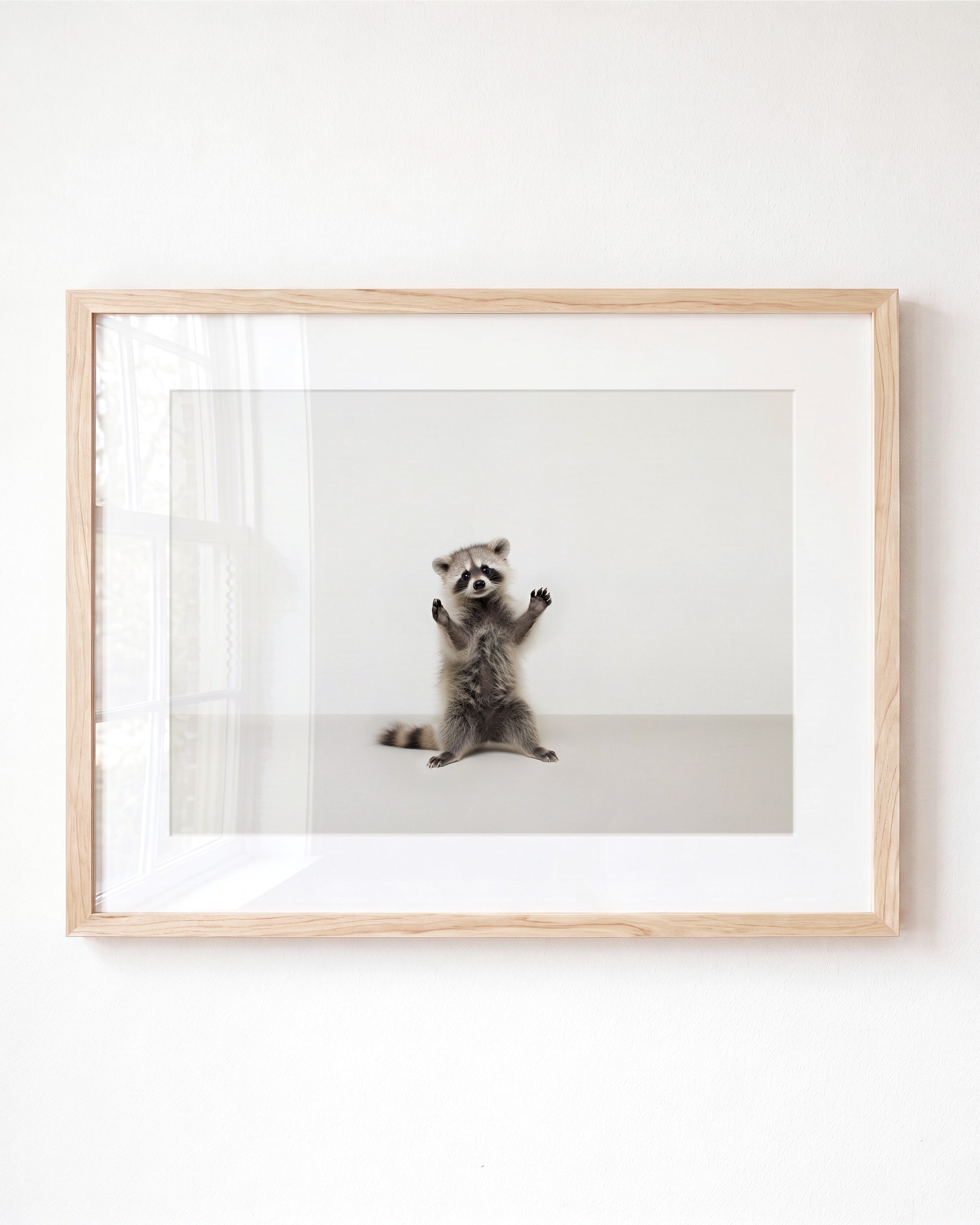 Studio Raccoon Art Print