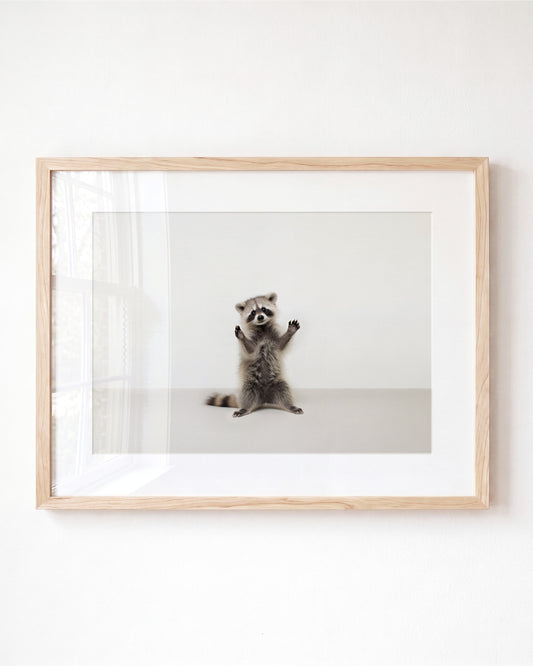 Studio Raccoon Art Print