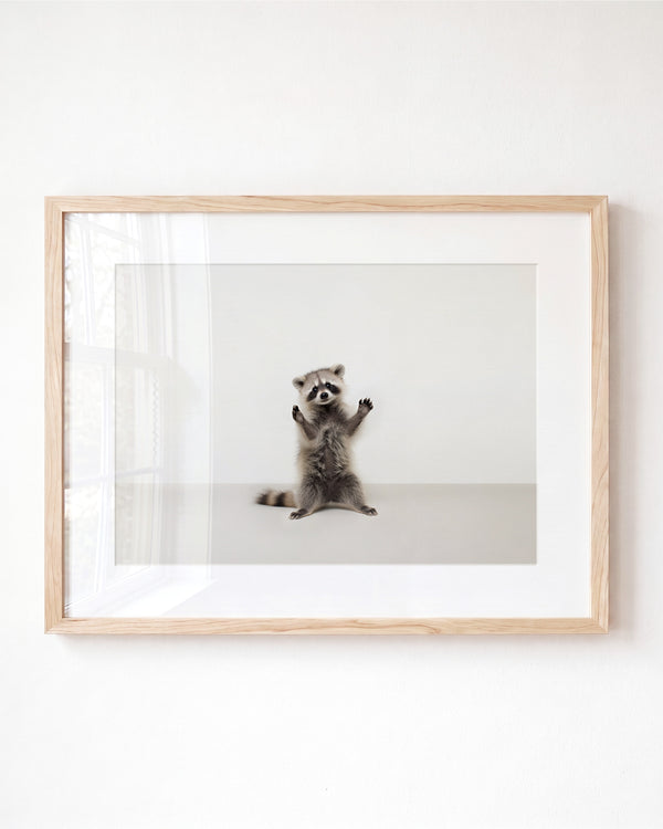 Studio Raccoon Art Print