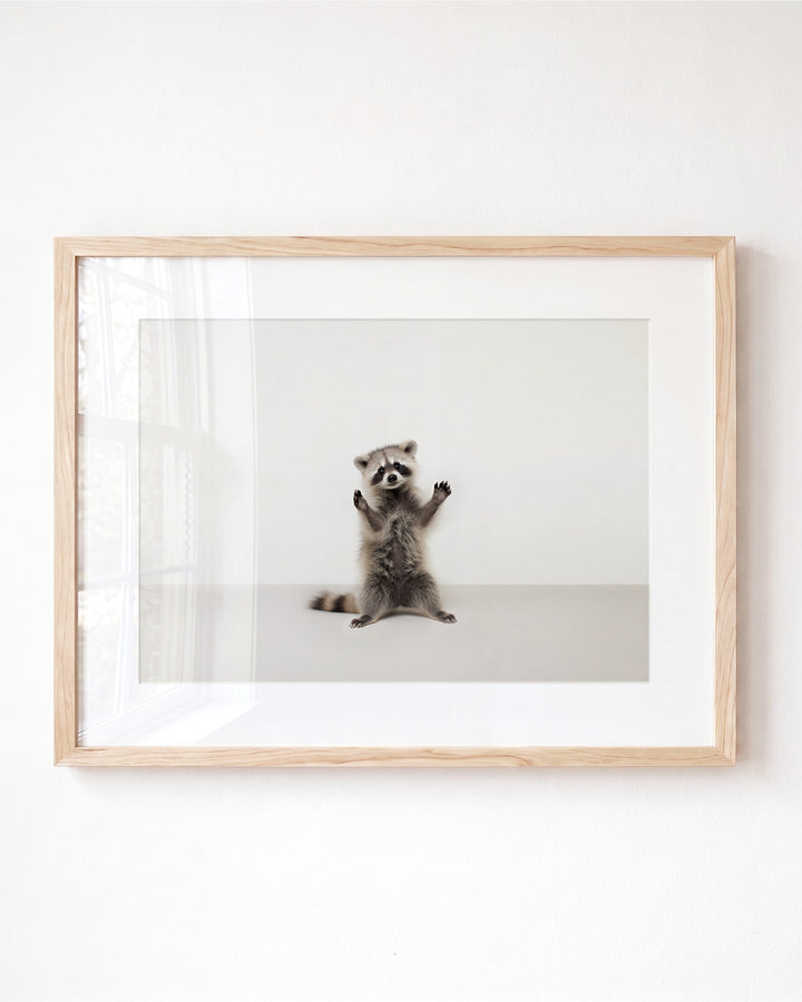 Studio Raccoon Art Print