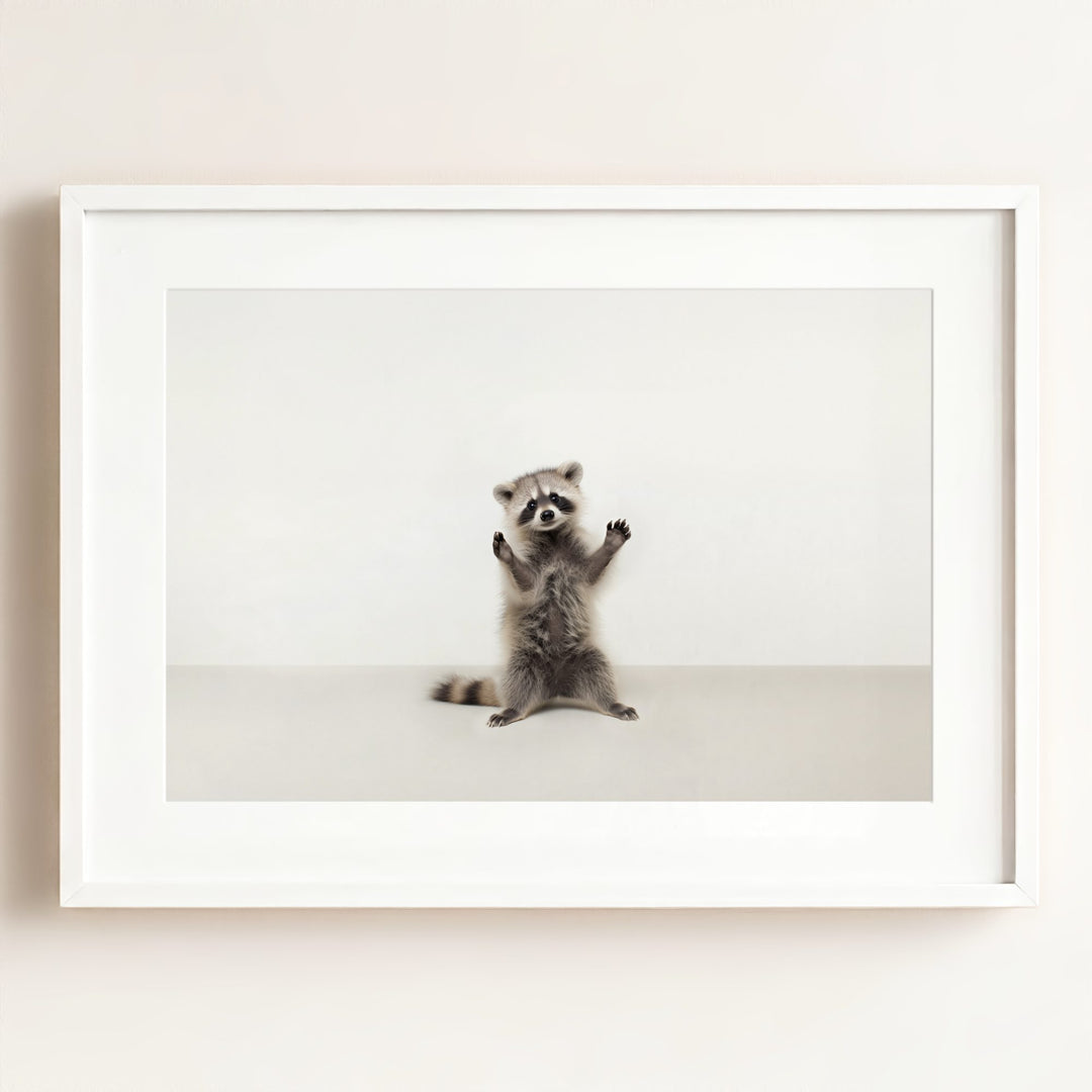 Studio Raccoon Art Print