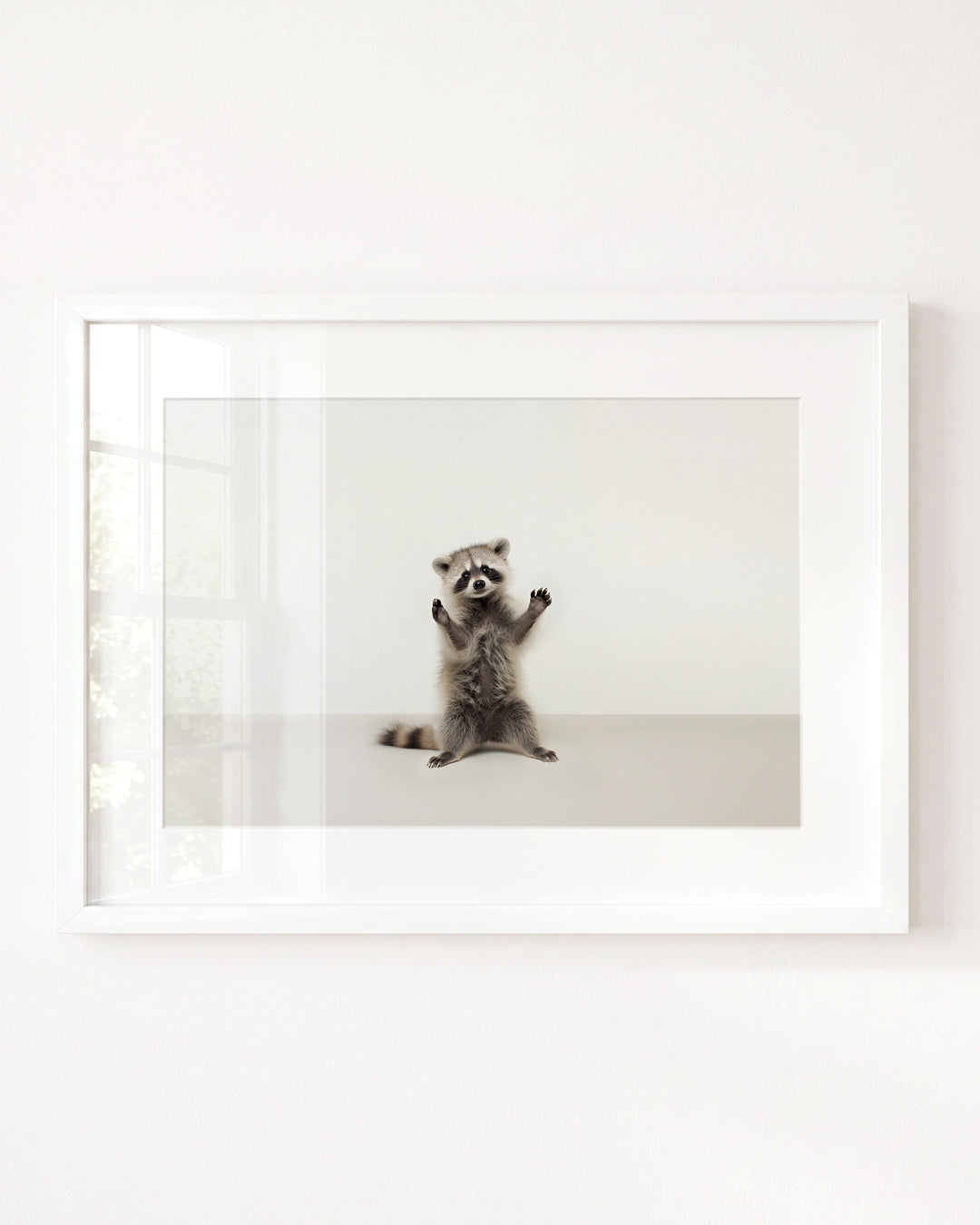 Studio Raccoon Art Print