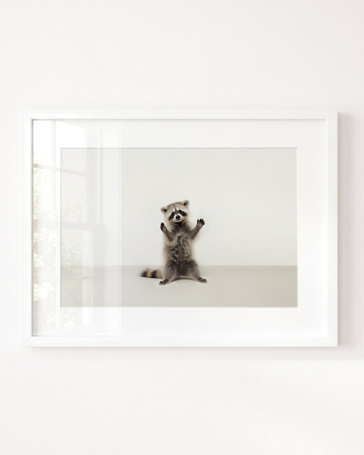 Studio Raccoon Art Print