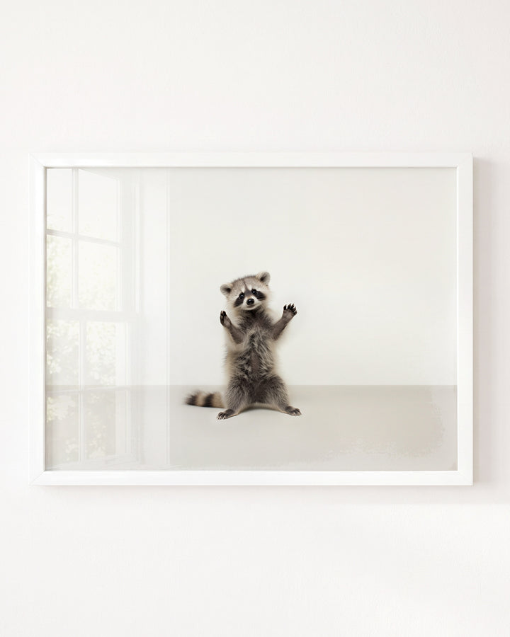 Studio Raccoon Art Print