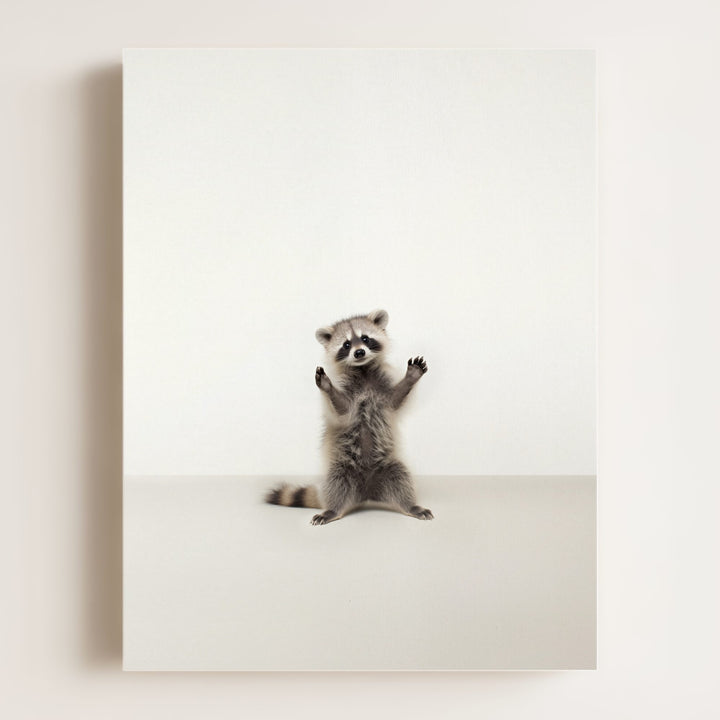 Studio Raccoon Art Print