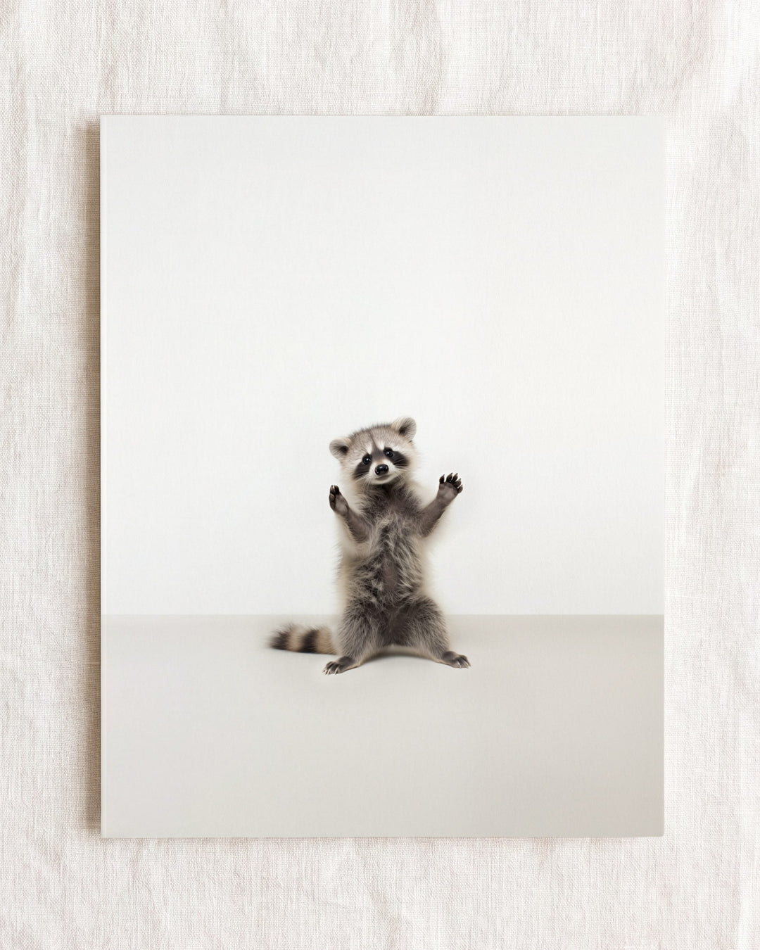 Studio Raccoon Art Print