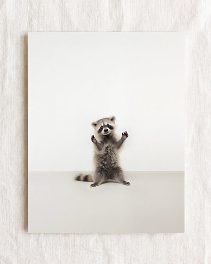 Studio Raccoon Art Print