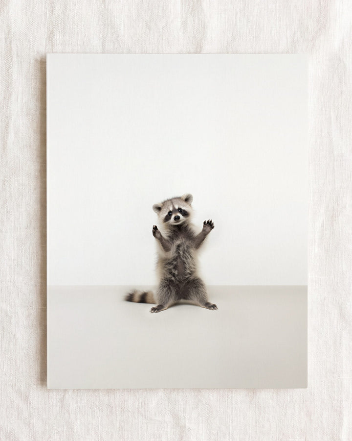 Studio Raccoon Art Print