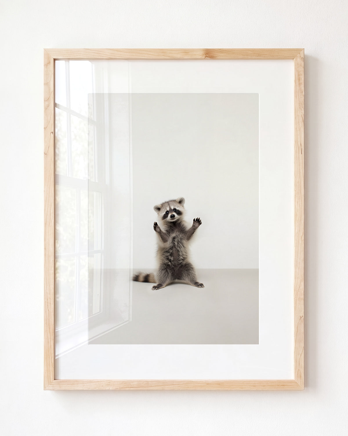 Studio Raccoon Art Print