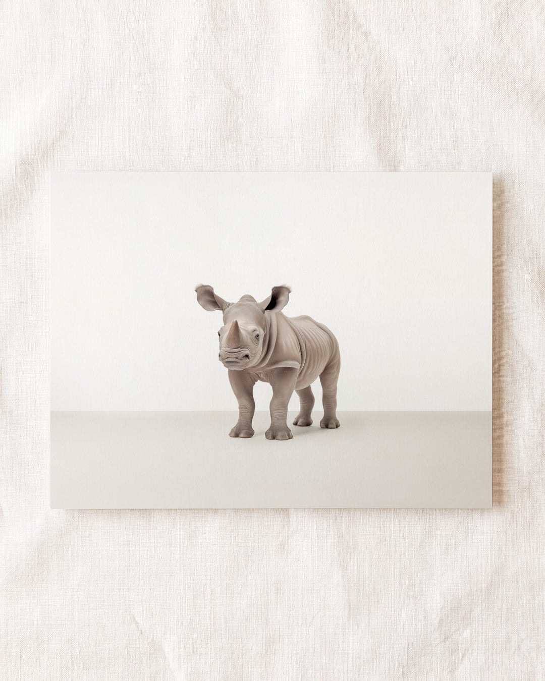 Studio Rhino Art Print