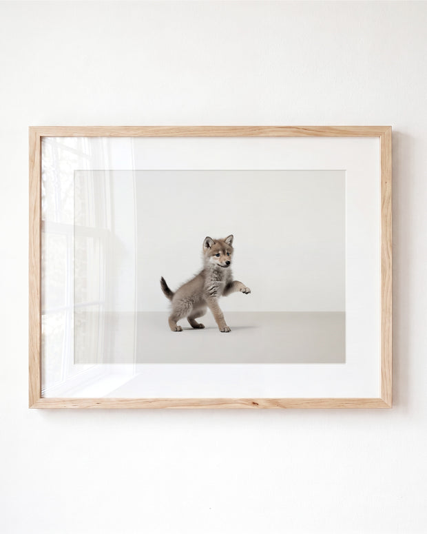 Studio Wolf Art Print