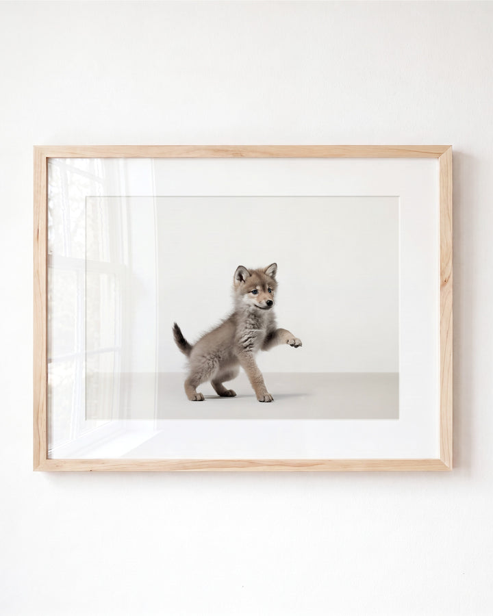 Studio Wolf Art Print