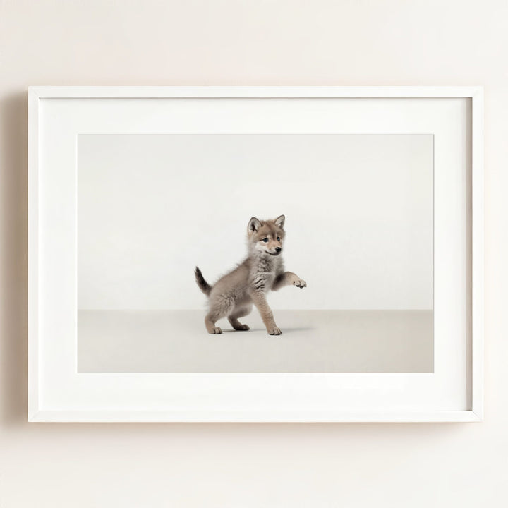 Studio Wolf Art Print